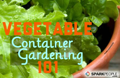 A Beginner's Guide to Container Vegetable Gardening