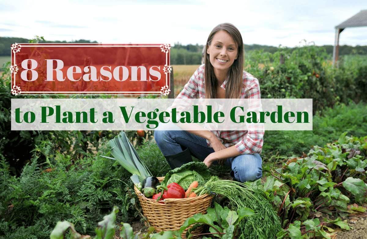 The Benefits of Growing Your Own Food