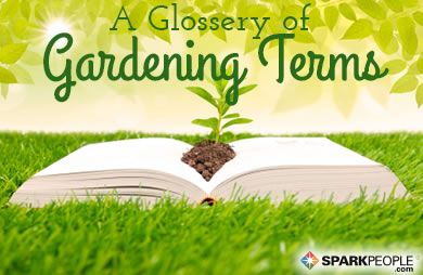 subterráneo personalidad arrepentirse Glossary of Gardening Terms | SparkPeople