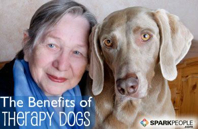 what are the benefits of therapy dogs