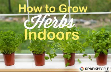 How To Start An Indoor Herb Garden Sparkpeople
