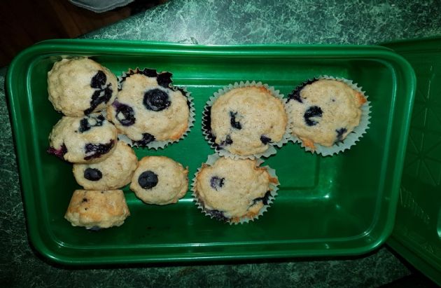 blueberry oat muffin