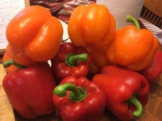 Bell Pepper Prep