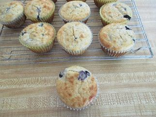 Blueberry Muffins