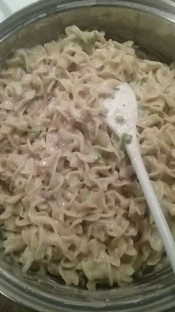 Cream of Mushroom and Noodle Recipe