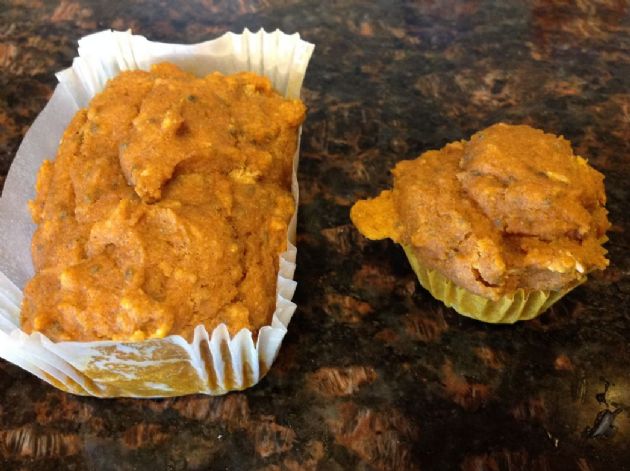 High fiber pumpkin and coconut muffins, no eggs,no dairy