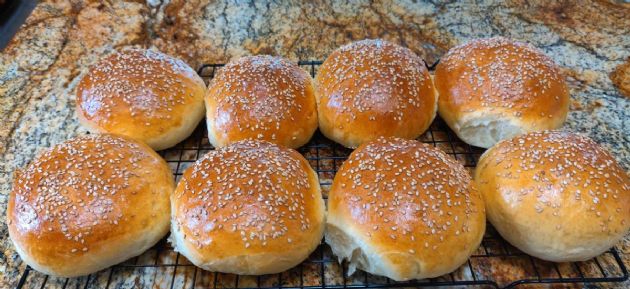 Large Beautiful Hamburger Buns