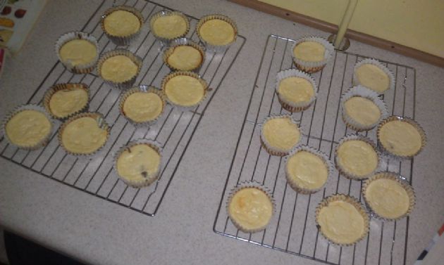 Low Carb Cheese Cake Cupcakes