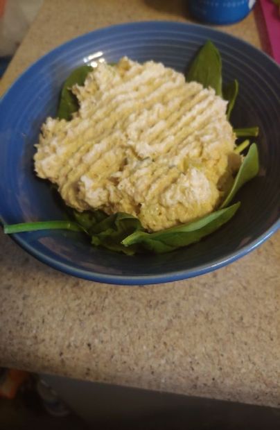 Low Fat Healthy Tuna Salad