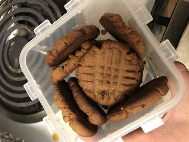 Low carb peanutbutter cookies