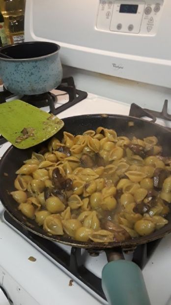 Mushroom Alfredo Pasta