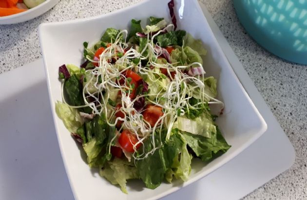 Mixed lettuce, tom, pepper, cuke, rad, and sprouts salad