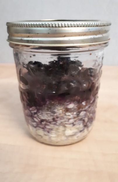 Overnight Blueberry Walnut Oats