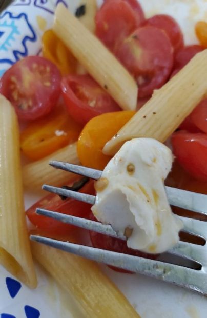 Penne with fresh tomato, basil, and mozzarella