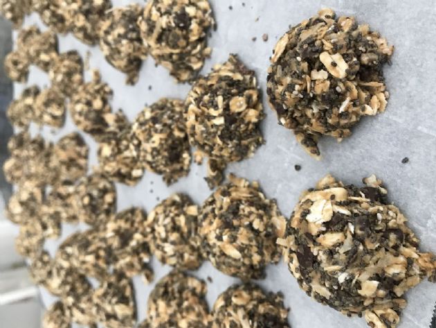 Protein Balls