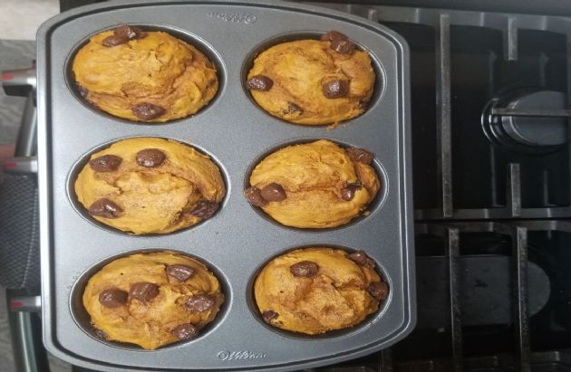 Pumpkin chocolate chip muffins