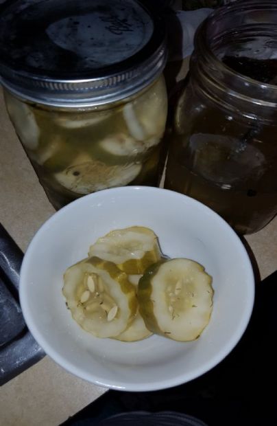 Refrigerated Dill Pickles