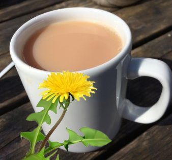 Roasted Dandelion Tea with milk and Blackstrap Molasses