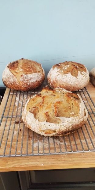Simple Weekday Sourdough Bread Recipe | SparkRecipes