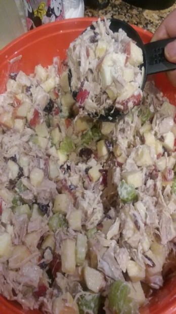 Turkey Apple Cran-Celery Salad