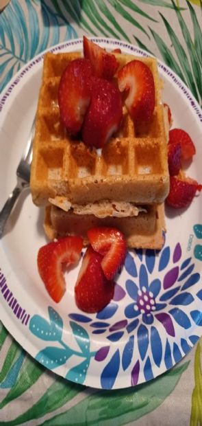 Vanilla Protein powder whole wheat Belgian waffles