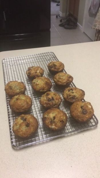 Banana Chocolate Chip Muffins 