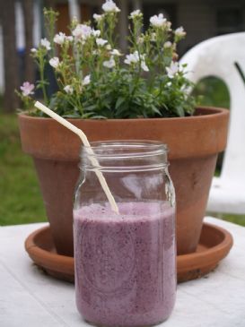 Blueberry Macadamia Milk Smoothie