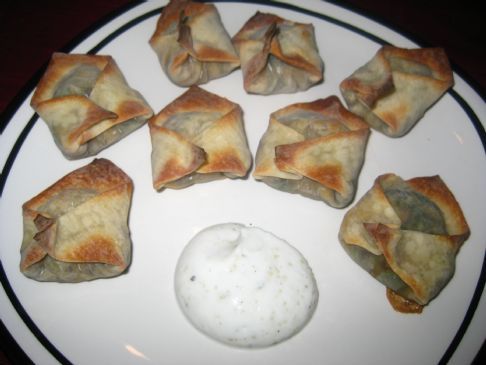 Southwest Wontons