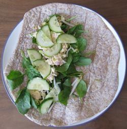 Salmon Curry Wrap