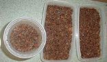 Pemmican