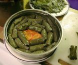 Egyptian Style Stuffed Grape Leaves (Mahshi)