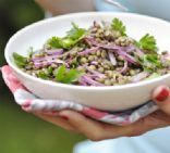 Puy lentil, red onion & herb salad