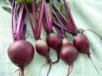 Beef with Beets and Butternut