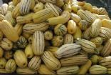 Baked Delicata Squash with Lime Butter