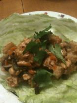 Thai Turkey Lettuce Wraps