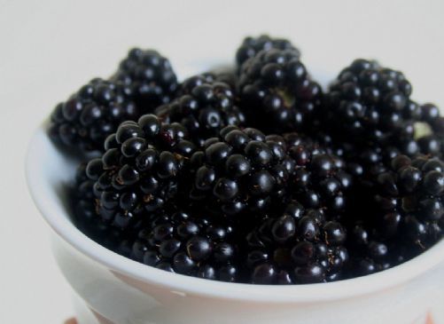 New fashioned Old-fashioned Blackberry Pudding