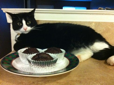 Chocolate Cherry Muffins