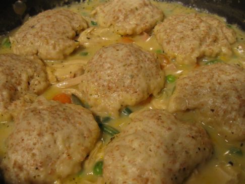 Squirrel & Dumplings ~ Down Home Recipe