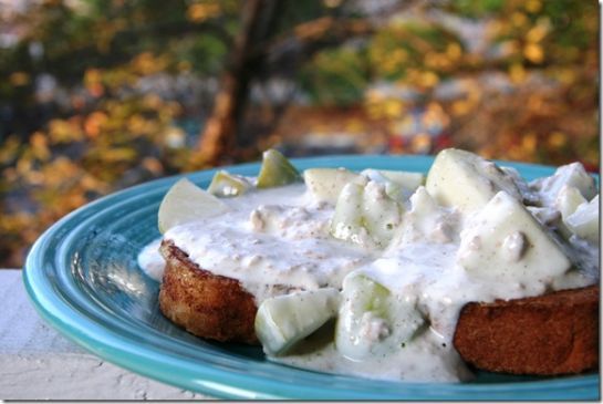 FANNETASTIC FOOD's Cinnamon Apple Yogurt Sauce