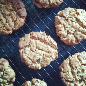 Cinnamon Raisin Peanut Butter Cookies