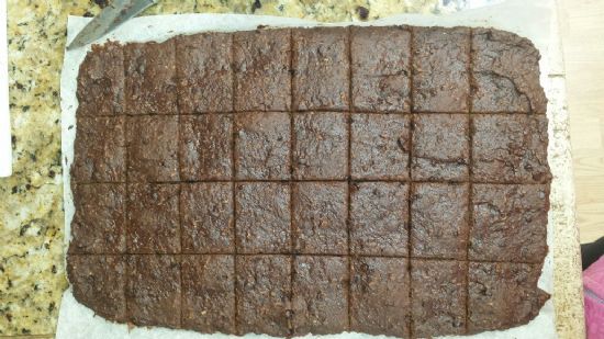 Vegan Gluten-Free Chocolate Coconut Protein Bars