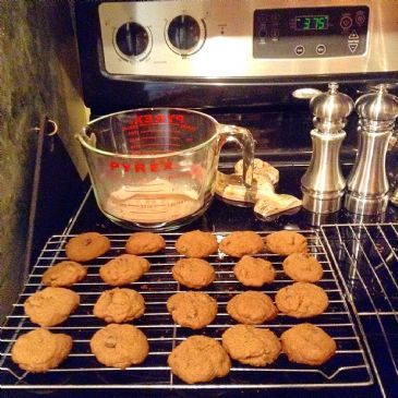 Whole Wheat Chocolate Chip Goodness 