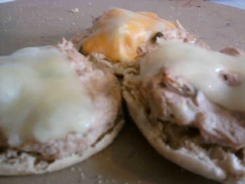 Kid Friendly Tuna Melt