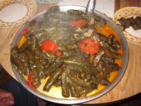 Stuff grape leaves and italian squash