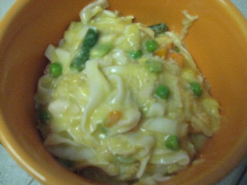 Shirataki Chicken Noodle Casserole