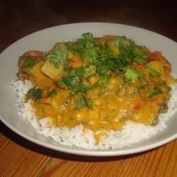 Crock Pot Vegetable Korma
