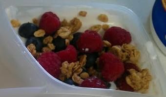 Greek & Fruit Yogurt