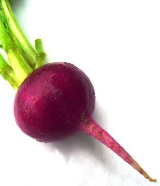 Goat Cheese, Beet and Walnut Salad