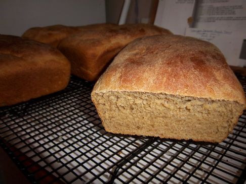 Whole wheat bread