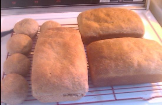 Beer Bread